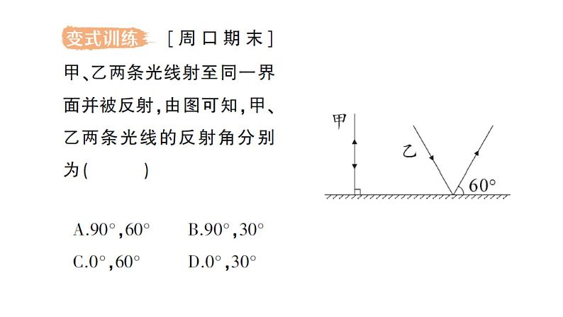 初中物理新教科版八年级上册第四章第二节 光的反射定律作业课件2024秋第3页