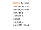 初中物理新教科版八年级上册第四章第四节 光的折射作业课件2024秋