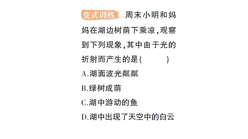 初中物理新教科版八年级上册第四章第四节 光的折射作业课件2024秋第4页