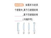 初中物理新教科版八年級上冊第四章第五節(jié) 科學(xué)探究：凸透鏡成像作業(yè)課件2024秋