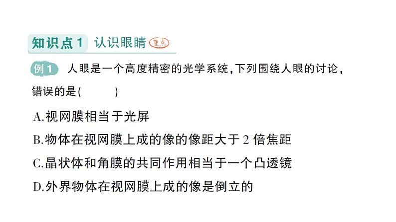 初中物理新教科版八年级上册第四章第六节 跨学科实践：眼睛作业课件2024秋第2页