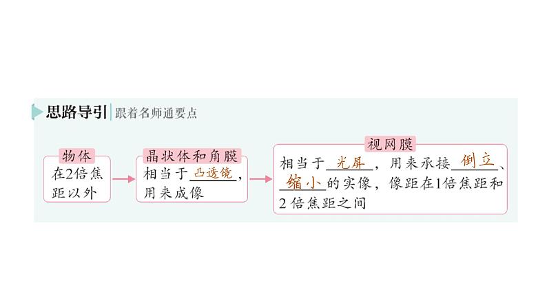 初中物理新教科版八年级上册第四章第六节 跨学科实践：眼睛作业课件2024秋第3页