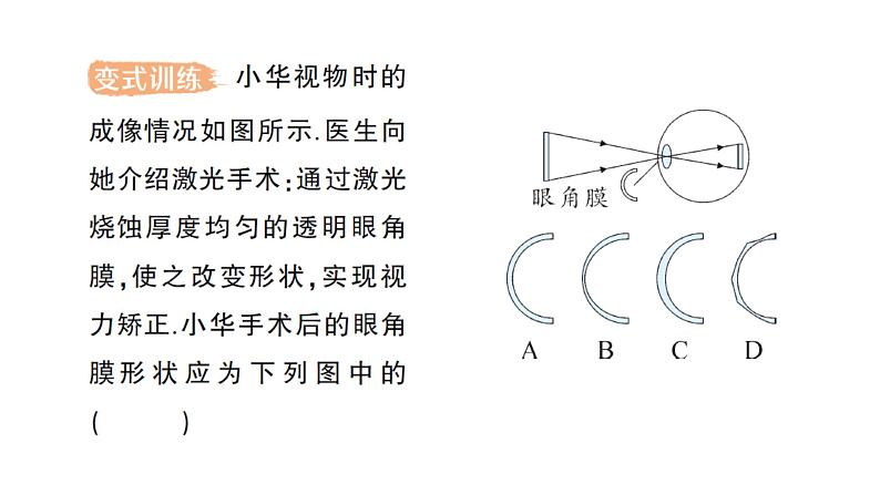 初中物理新教科版八年级上册第四章第六节 跨学科实践：眼睛作业课件2024秋第6页