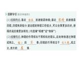初中物理新教科版八年级上册第四章第七节 通过透镜看世界作业课件2024秋