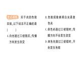 初中物理新教科版八年級上冊第四章第八節(jié) 走進(jìn)彩色世界作業(yè)課件2024秋