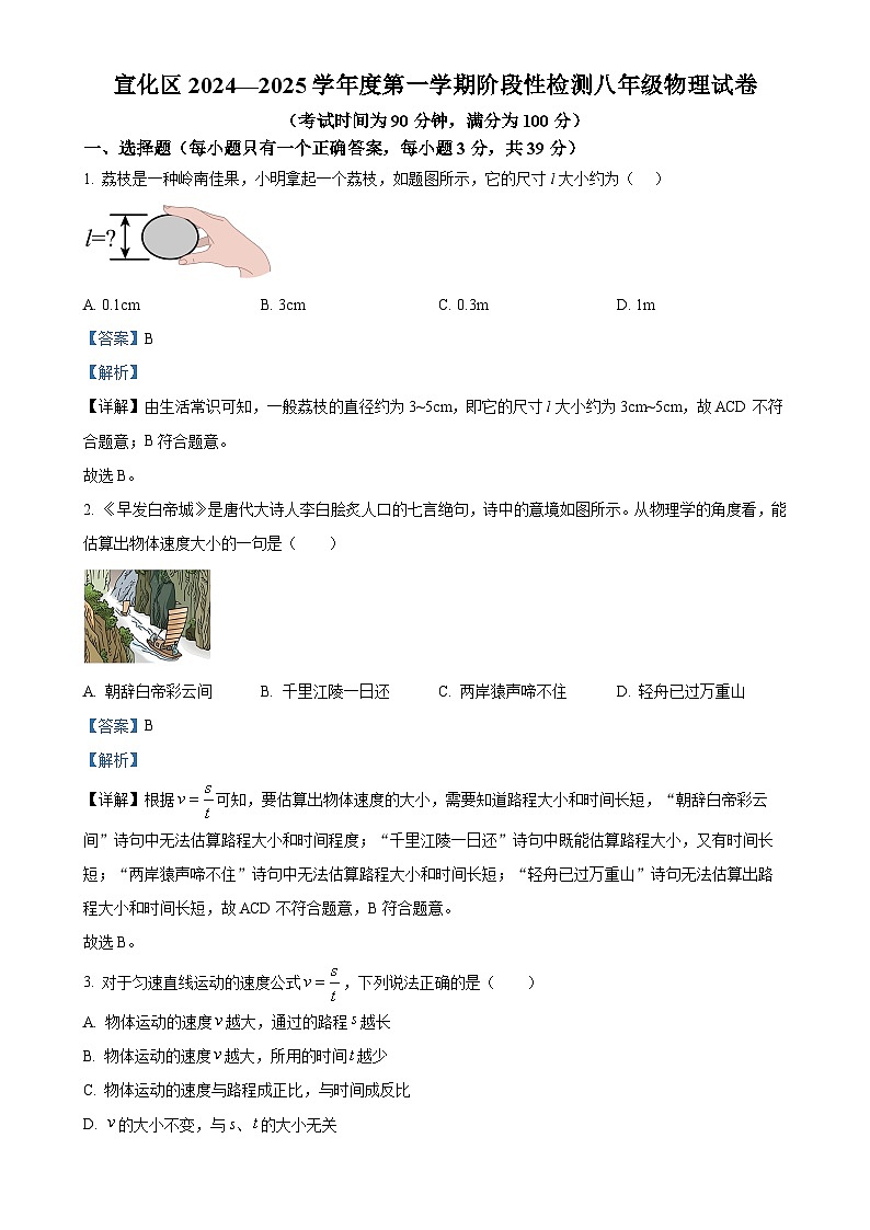 精品解析：河北省张家口市宣化区2024-2025学年八年级上学期11月期中物理试题（解析版）-A4第1页
