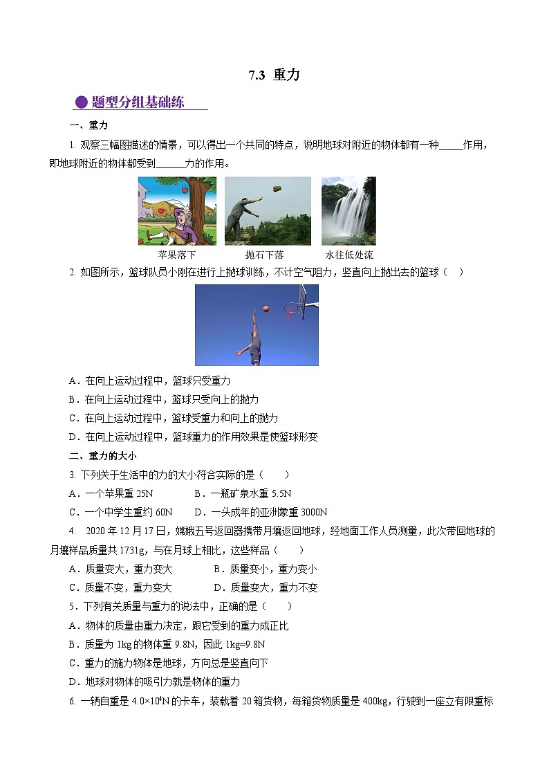 7.3 重力（分层作业）【原卷版】第1页