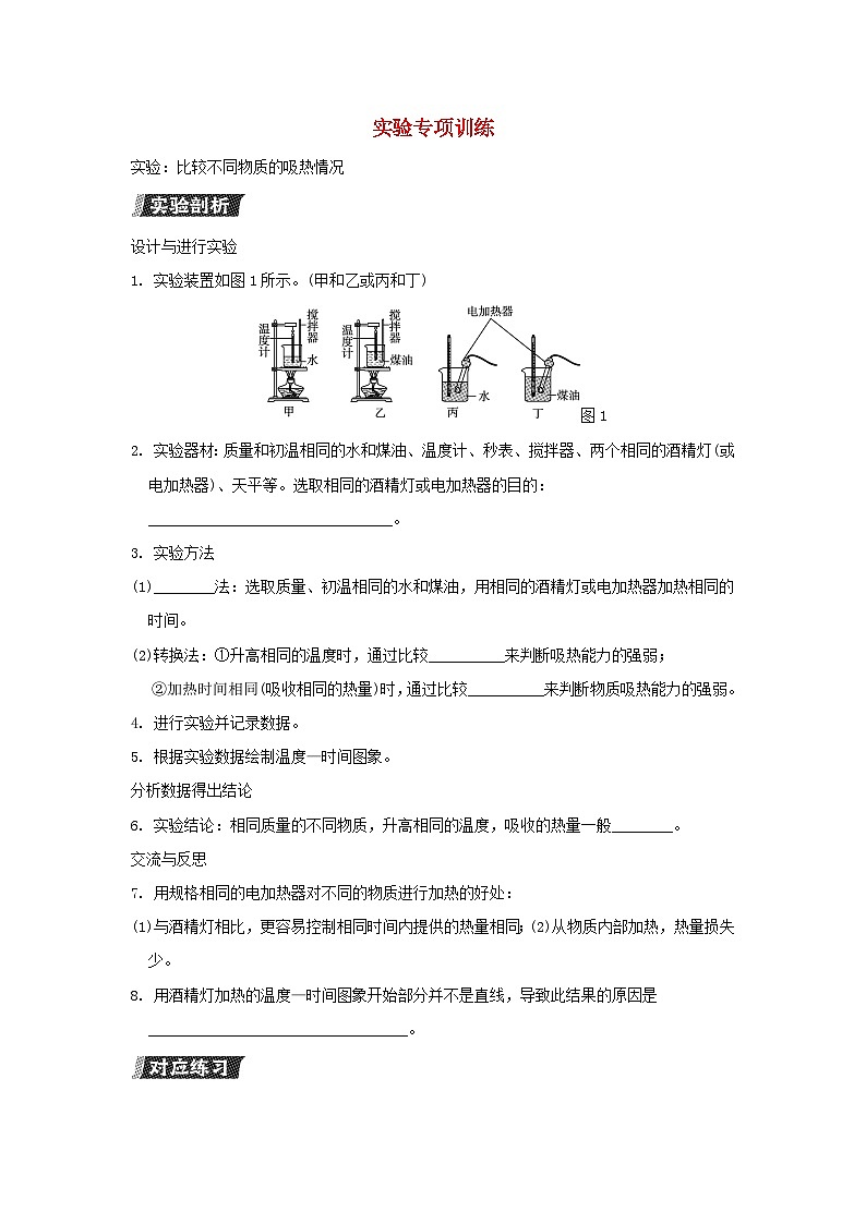 山西省2024九年级物理全册实验专项训练试卷（附答案人教版）第1页