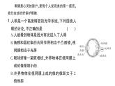 初中物理新沪科版八年级全册大单元综合（二） 光现象作业课件（2024秋）