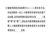 初中物理新沪科版八年级全册大单元综合（二） 光现象作业课件（2024秋）