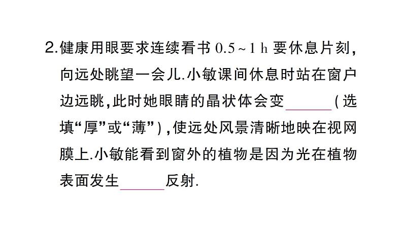 初中物理新沪科版八年级全册大单元综合（二） 光现象作业课件（2024秋）第3页