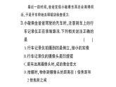 初中物理新沪科版八年级全册大单元综合（二） 光现象作业课件（2024秋）