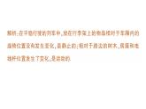 初中物理新教科版八年级上册第二章 运动与能量复习提升作业课件2024秋