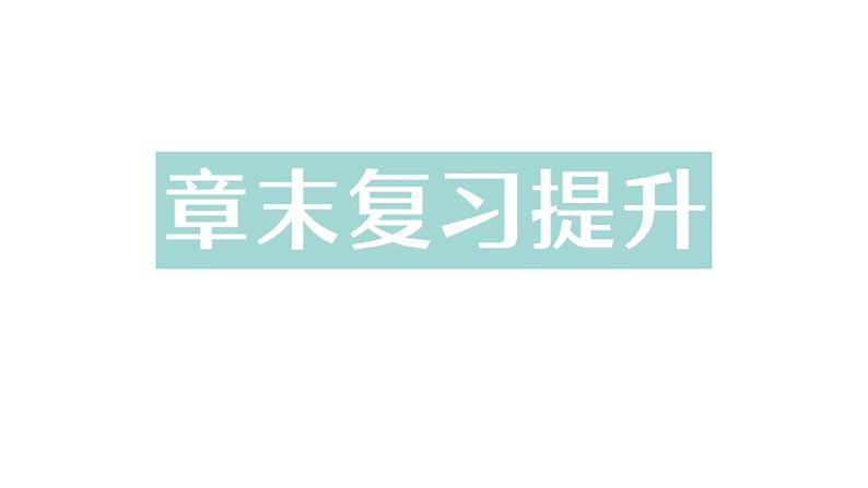 初中物理新教科版八年级上册第四章 光的世界复习提升作业课件2024秋第1页