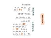初中物理新教科版八年级上册第四章 光的世界复习提升作业课件2024秋
