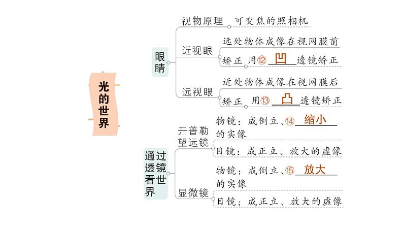 初中物理新教科版八年级上册第四章 光的世界复习提升作业课件2024秋第5页