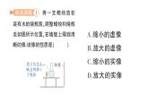 初中物理新教科版八年级上册第四章专题三 凸透镜成像规律的应用作业课件2024秋