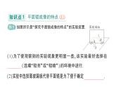初中物理新教科版八年级上册第四章第三节 平面镜成像作业课件2024秋