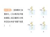 初中物理新教科版八年级上册第四章第三节 平面镜成像作业课件2024秋