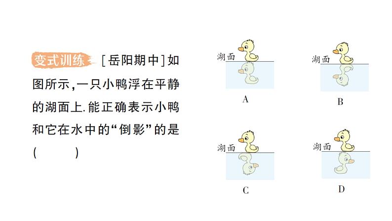 初中物理新教科版八年级上册第四章第三节 平面镜成像作业课件2024秋第5页