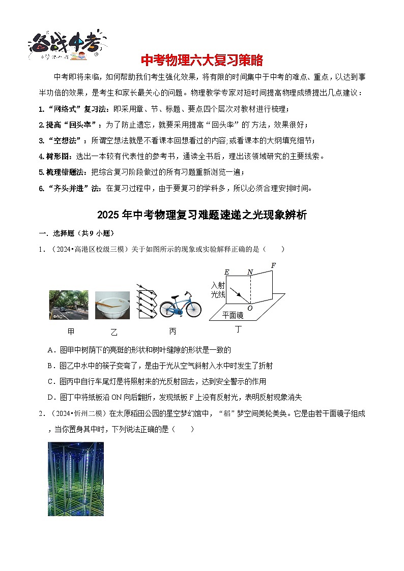2025年中考物理二轮复习专练06 光现象辨析（含答案）第1页