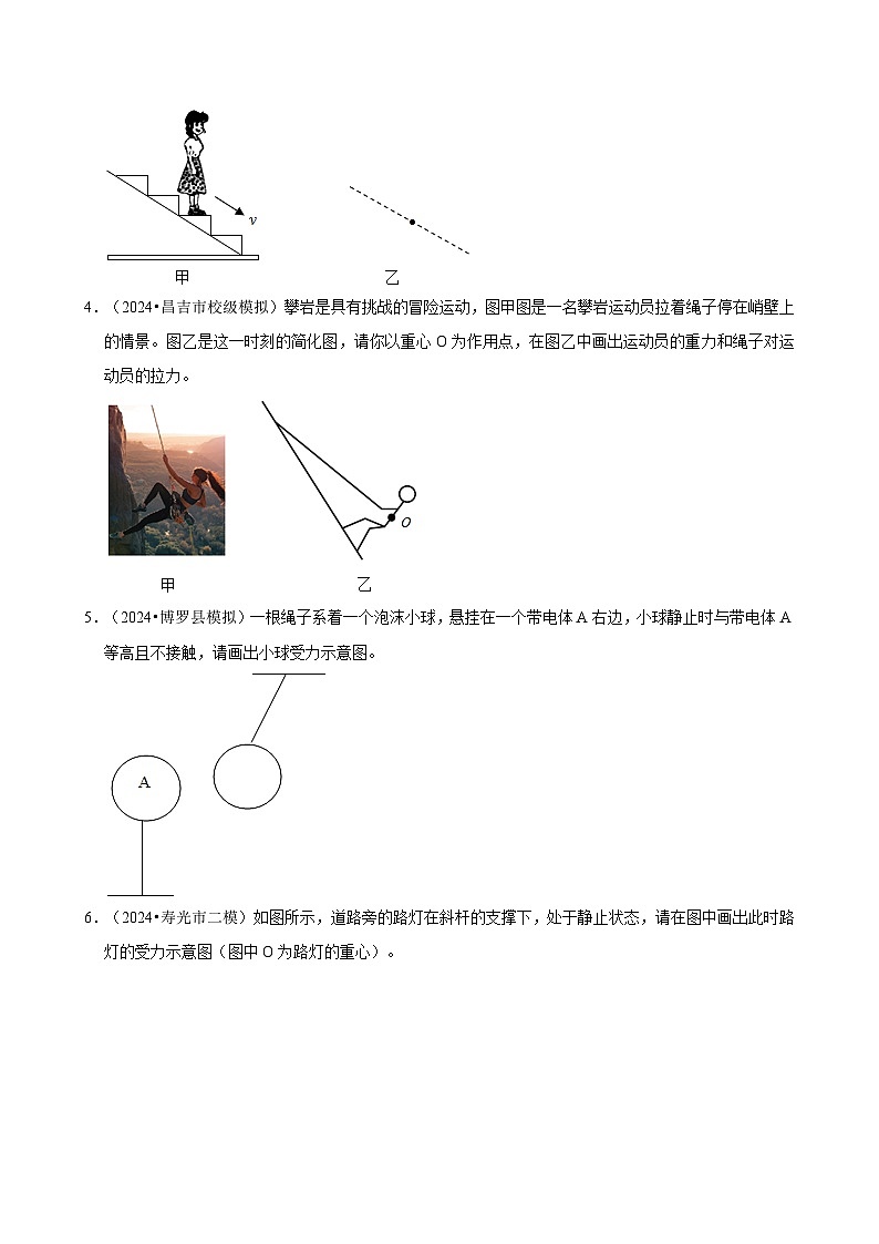 2025年中考物理二轮复习专练11 力学作图（含答案）第2页