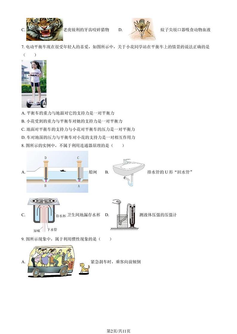 2024北京三帆中学初二（下）期中考试物理试卷第2页
