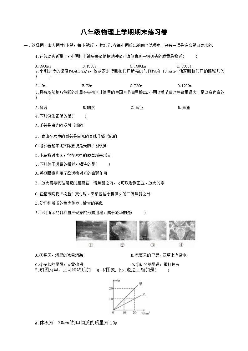 2024-2025学年八年级上学期物理期末模拟试题（人教版）第1页