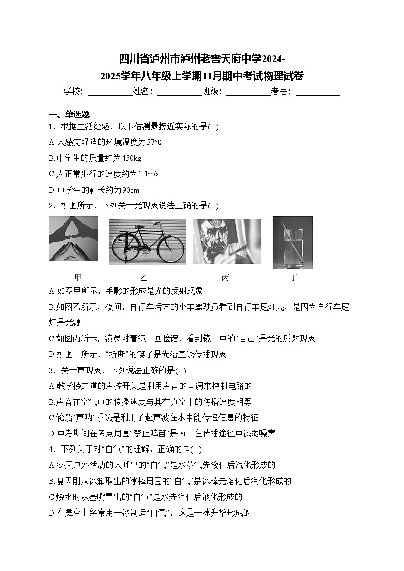 四川省泸州市泸州老窖天府中学2024-2025学年八年级上学期11月期中考试物理试卷(含答案)第1页