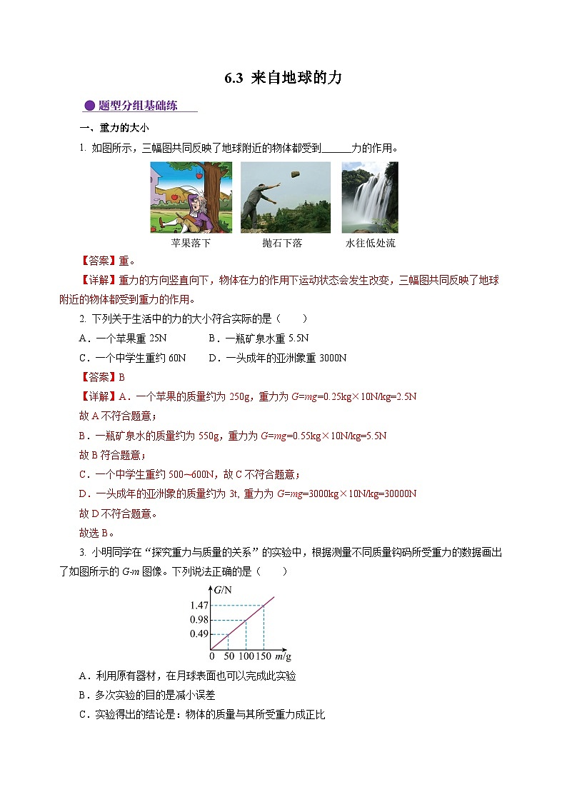 6.3 来自地球的力（分层作业）（解析版）第1页