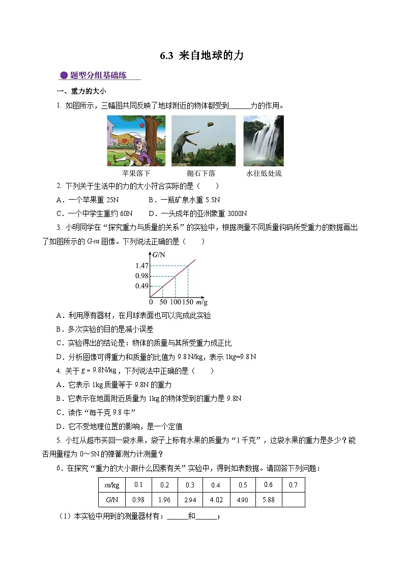 6.3 来自地球的力（分层作业）（原卷版）第1页