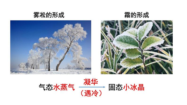 初中物理新人教版八年级上册第三章第四节 升华和凝华教学课件2024秋第8页