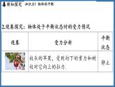 8.1 二力平衡（課件）-2024-2025學(xué)年蘇科版（2024）物理八年級(jí)下冊(cè)