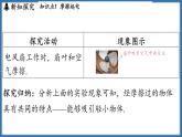 10.2 静电现象（课件）-2024-2025学年苏科版（2024）物理八年级下册
