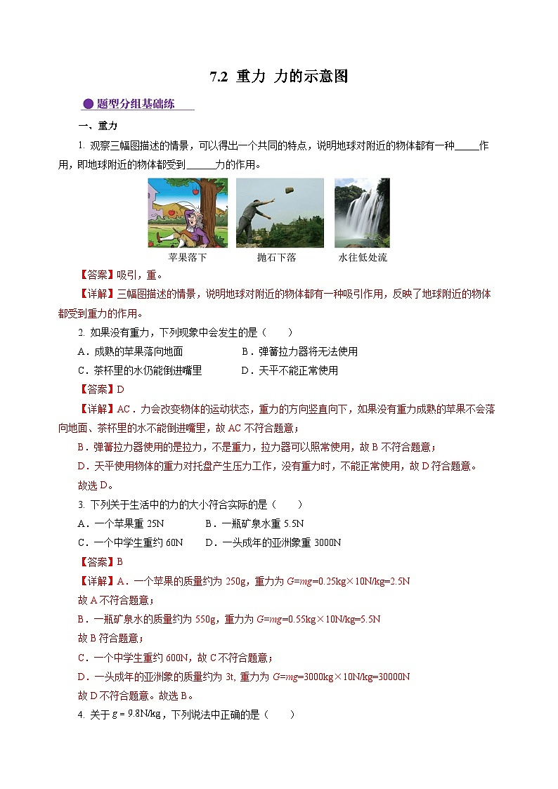 7.2 重力 力的示意图（分层作业）（解析版）第1页