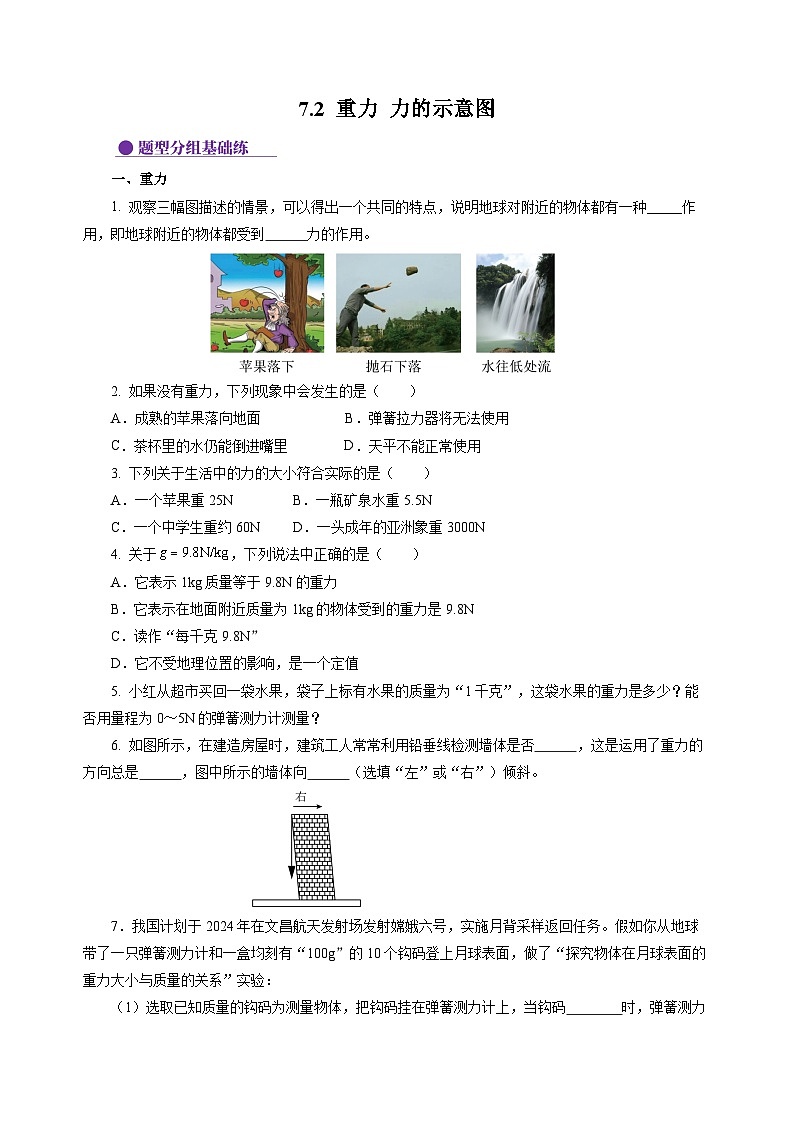 7.2 重力 力的示意图（分层作业）（原卷版）第1页