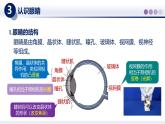 【教科版】八上物理  4.6跨学科实践：眼睛（课件）