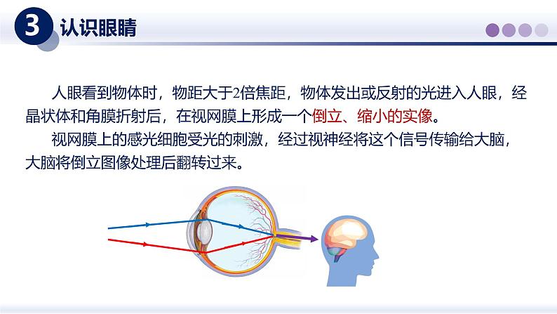 【教科版】八上物理  4.6跨学科实践：眼睛（课件）第6页