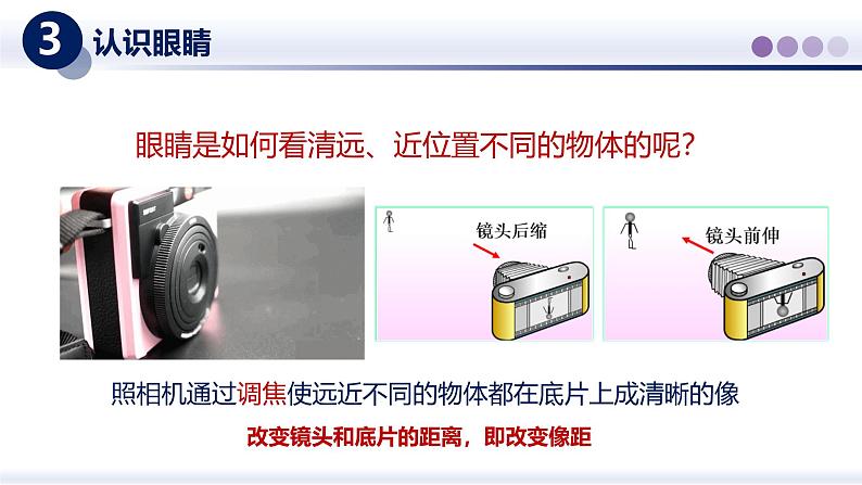 【教科版】八上物理  4.6跨学科实践：眼睛（课件）第7页