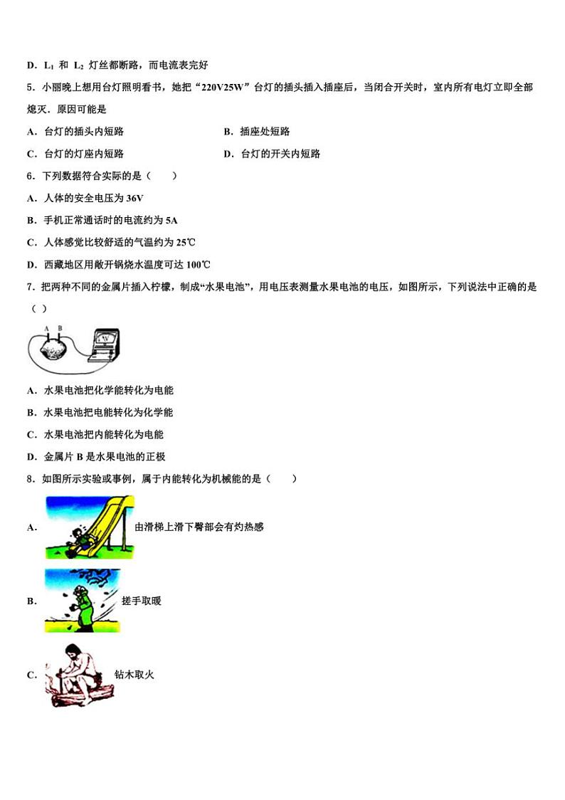 2023～2024学年江西省物理九年级(上)期末监测试卷(含解析)第2页