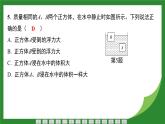 10.3 物体的浮沉条件及应用  课件  2024-2025学年人教版物理八年级下册