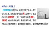 7.3重力课件- 2024-2025学年人教版物理八年级下册