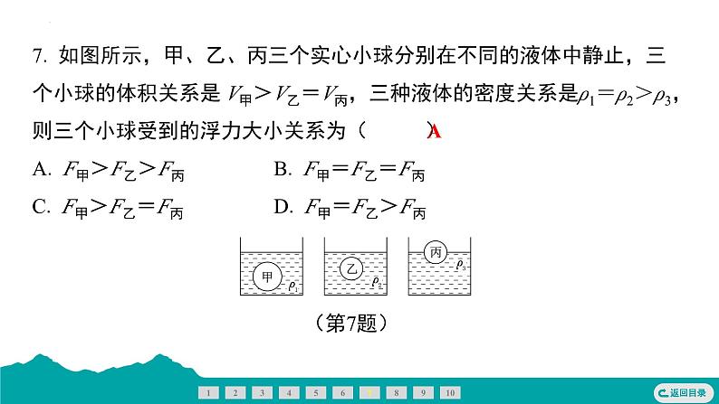 10.2阿基米德原理 课件  2024-2025学年人教版物理八年级下册第8页