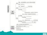 第十一章 功和机械能 复习课件  --2024-2025学年人教版物理八年级下册