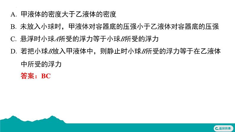 第十章 浮力 复习 课件 -- 2024-2025学年人教版物理八年级下册第6页