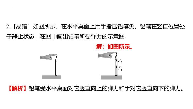 专项 力的作图 （弹力、 重力）课件 2024-2025学年人教版物理八年级下册第3页