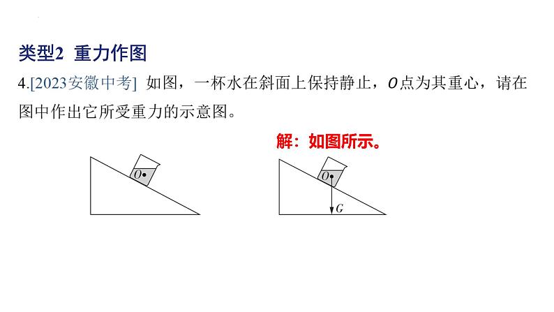 专项 力的作图 （弹力、 重力）课件 2024-2025学年人教版物理八年级下册第5页