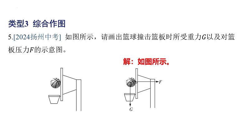 专项 力的作图 （弹力、 重力）课件 2024-2025学年人教版物理八年级下册第7页