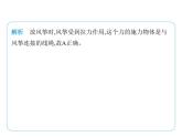 7.1力　彈力課件 2024-2025學年蘇科版物理八年級下冊