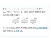 9.1壓　強課件-- 2024-2025學(xué)年蘇科版物理八年級下冊